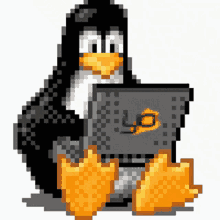 linux typing in a computer
